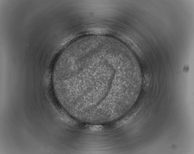 X0000094070355200711161552