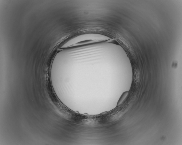 X0000094070356200711161552