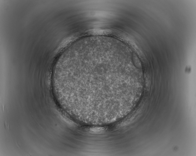 X0000094070357200711161552
