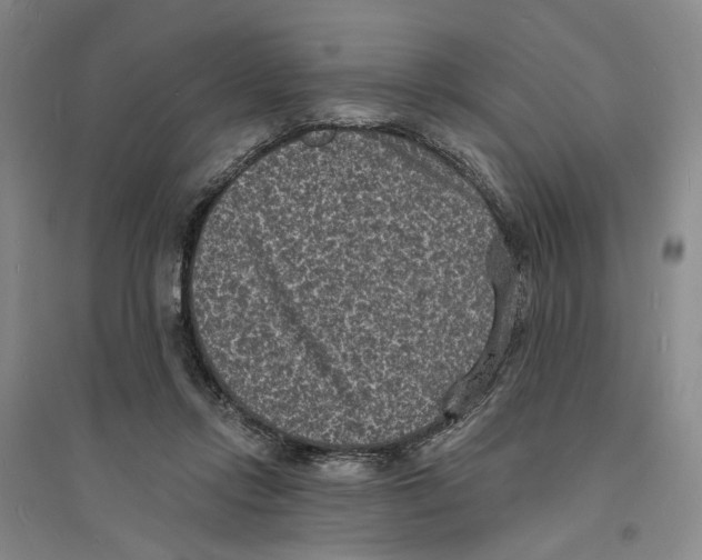 X0000094070358200711161552