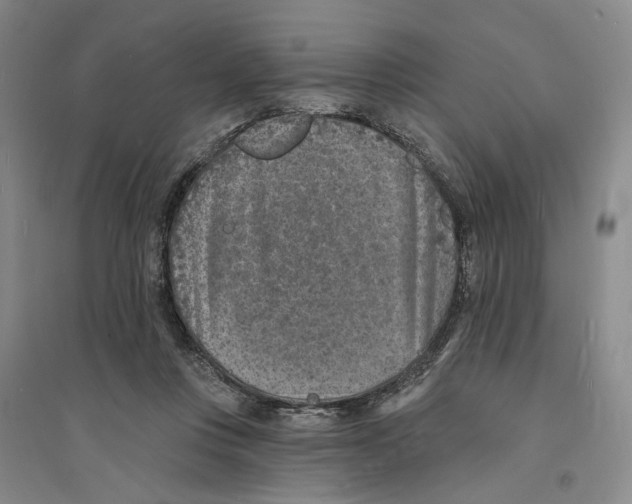 X0000094070359200711161552