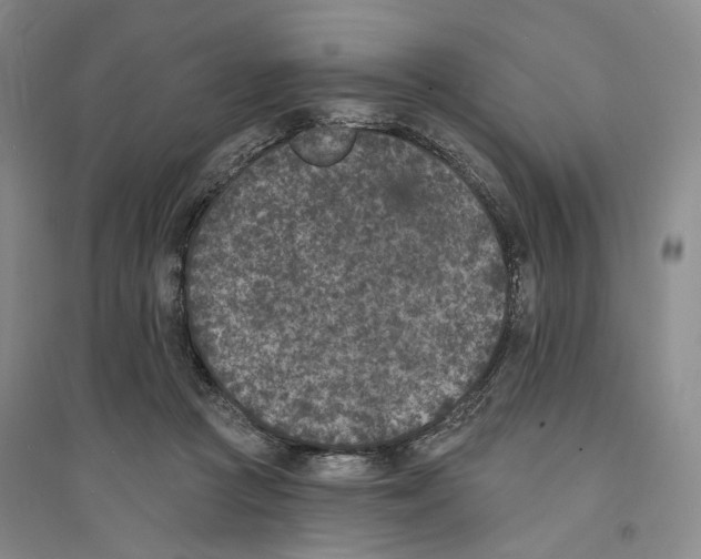 X0000094070361200711161552