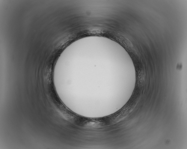 X0000094070364200711161552