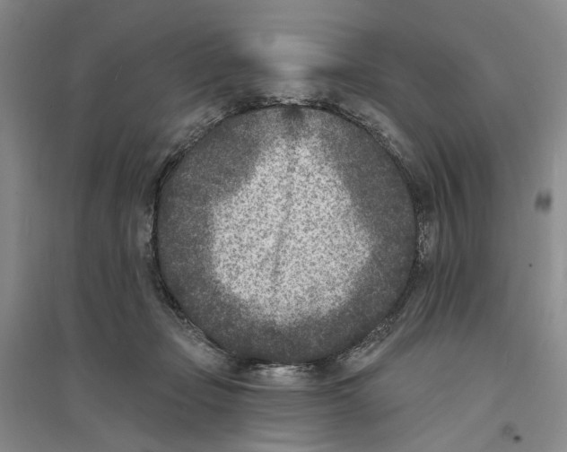 X0000094070365200711161552