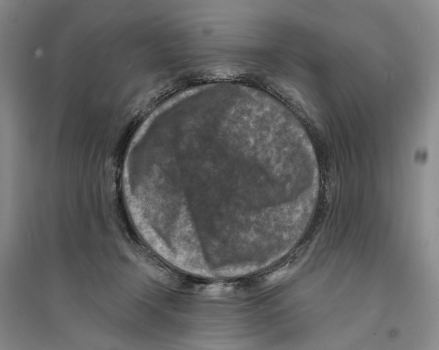 X0000094070366200711161552