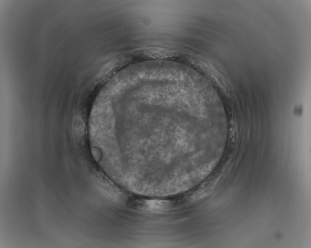 X0000094070371200711161552
