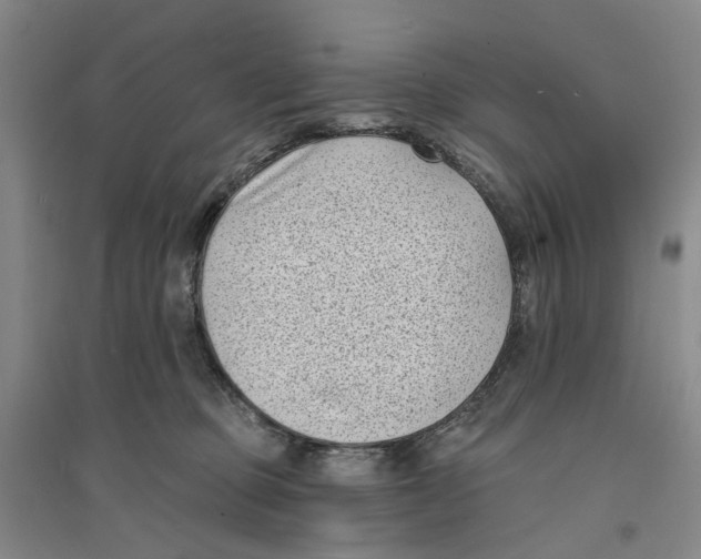 X0000094070373200711161552