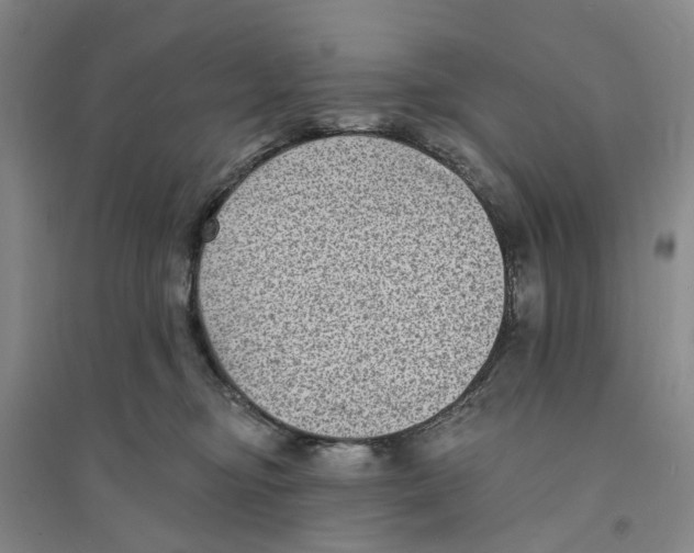 X0000094070374200711161552