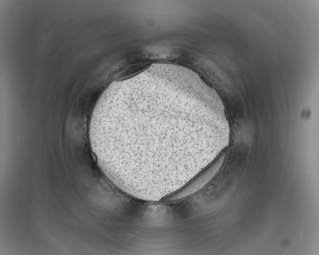 X0000094070376200711161552