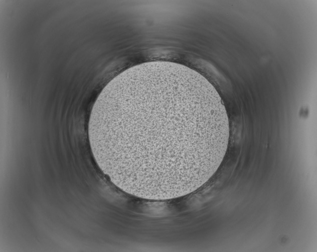X0000094070377200711161552