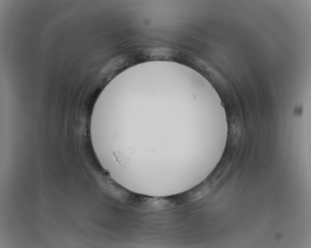 X0000094070379200711161553