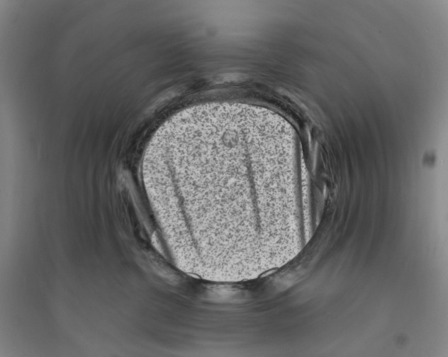 X0000094070380200711161553