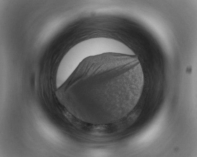 X0000094070382200711161553