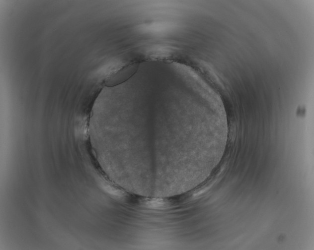 X0000094070383200711161553