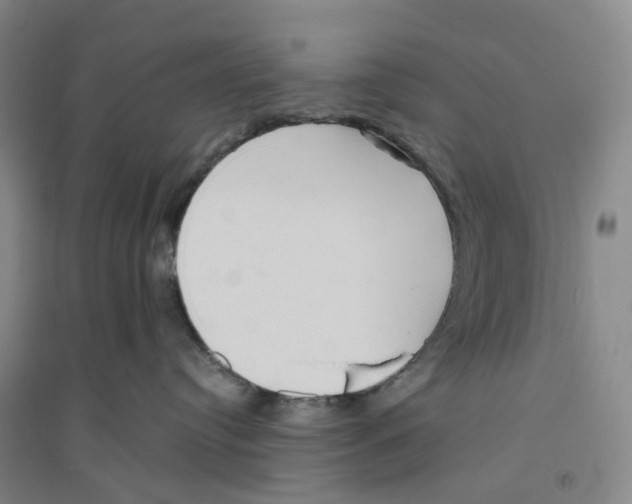 X0000094070384200711161553