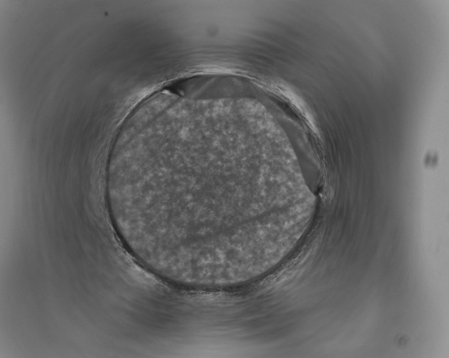 X0000094070385200711161552