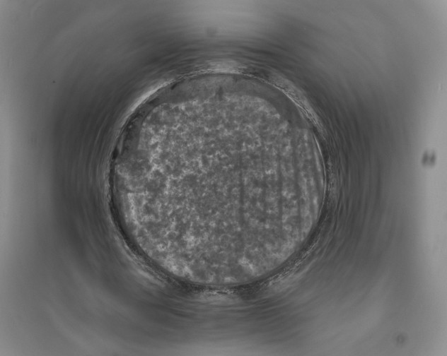 X0000094070386200711161552