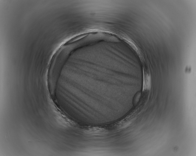 X0000094070387200711161552