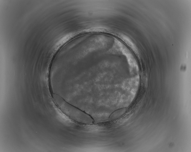 X0000094070389200711161552