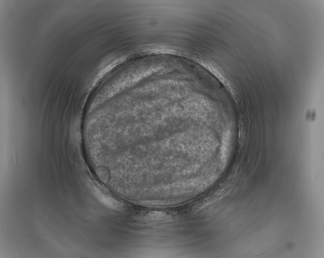 X0000094070390200711161552