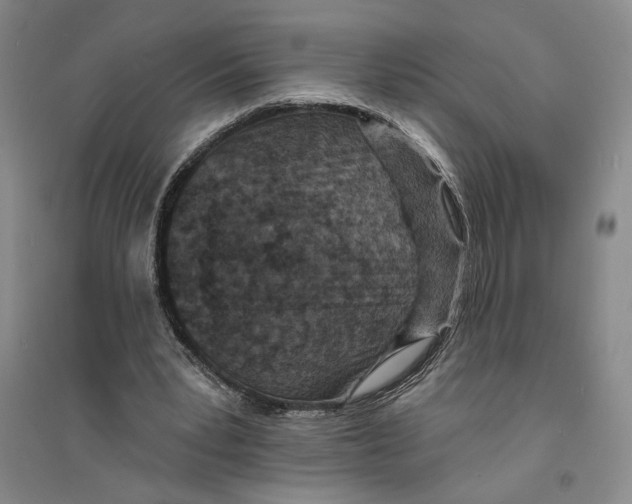 X0000094070391200711161552