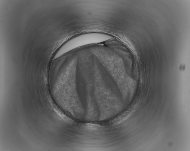 X0000094070393200711161552