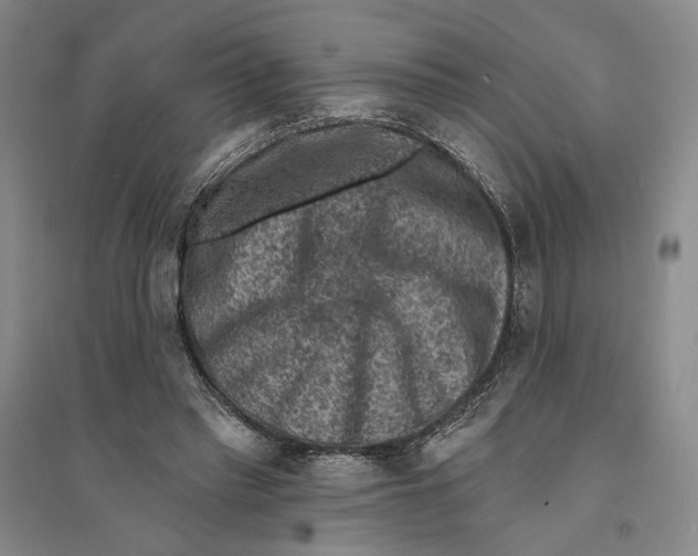 X0000094070397200711161552