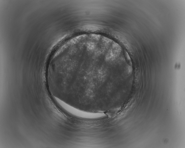 X0000094070399200711161552