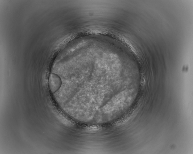X0000094070402200711161552