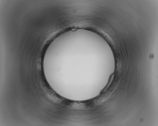 X0000094070403200711161552
