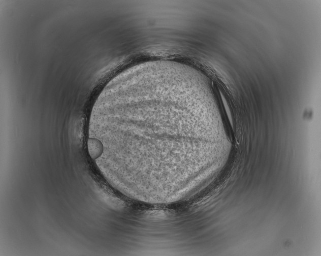 X0000094070404200711161552