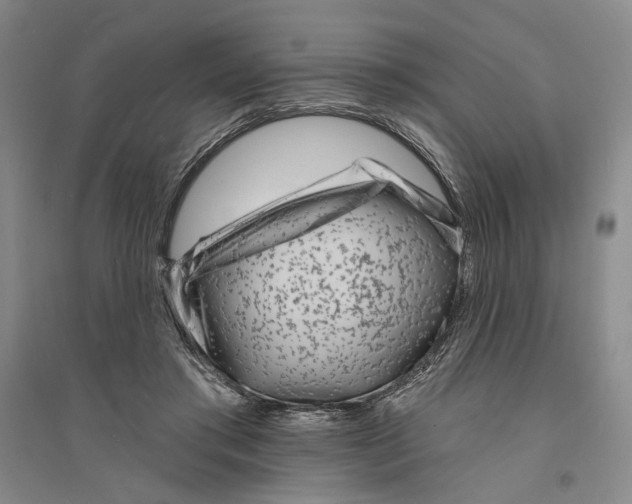 X0000094070405200711161552