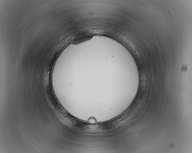 X0000094070406200711161552