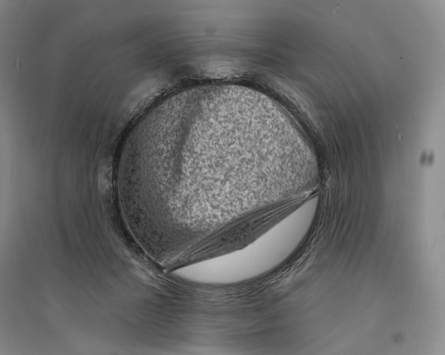X0000094070407200711161552