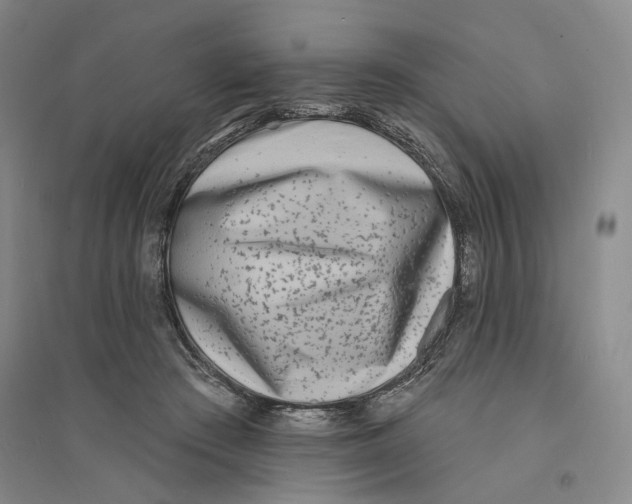 X0000094070409200711161552