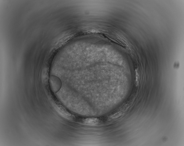 X0000094070410200711161552