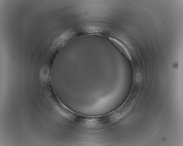 X0000094070411200711161552