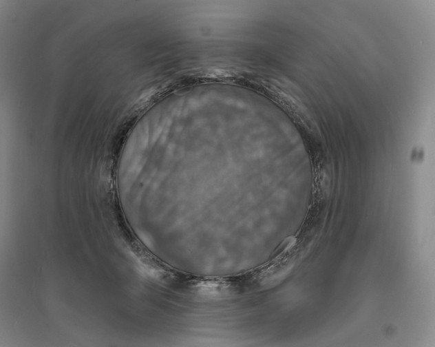 X0000094070415200711161552