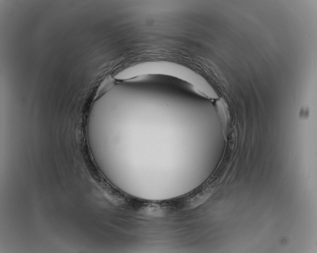X0000094070416200711161551