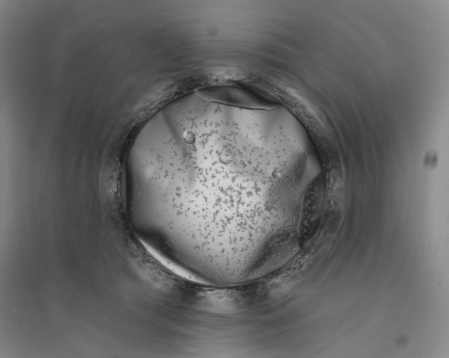 X0000094070417200711161551