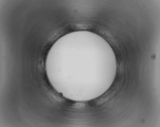 X0000094070418200711161551