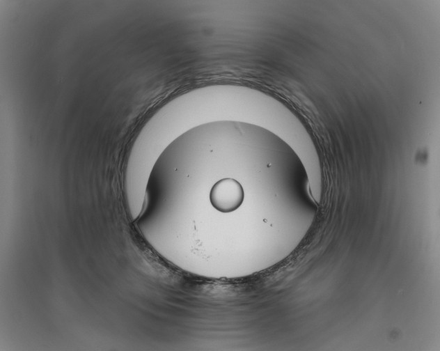 X0000094070419200711161551
