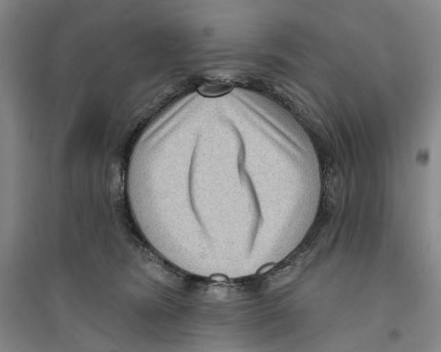 X0000094070420200711161551