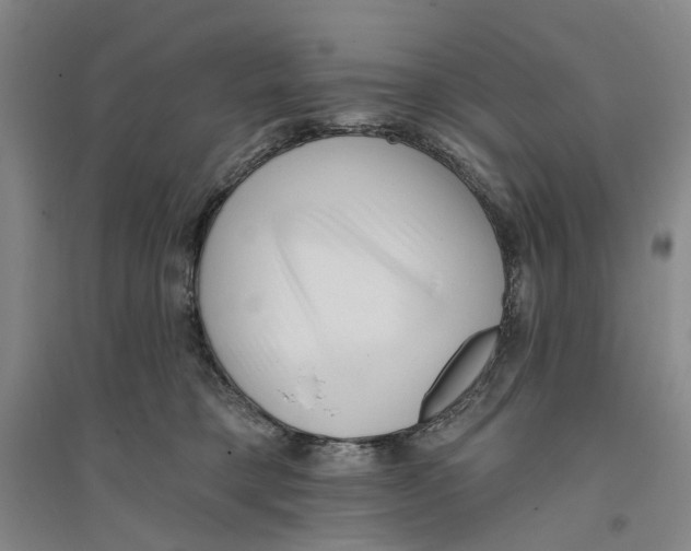 X0000094070421200711161551
