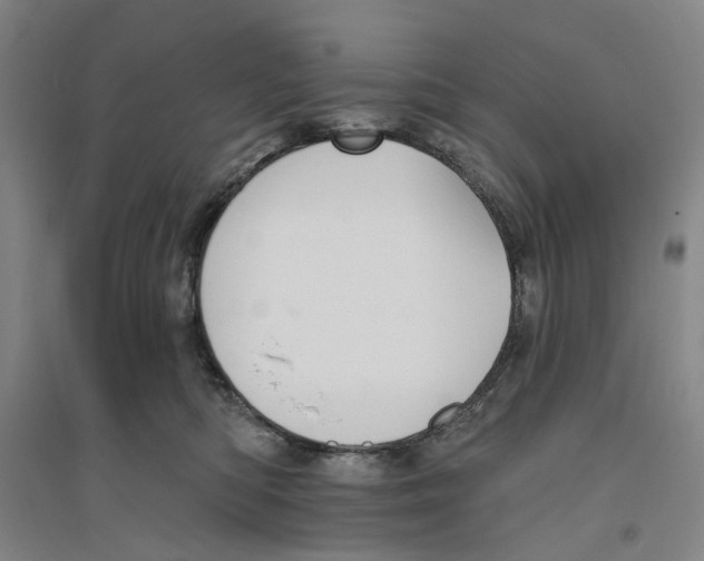 X0000094070422200711161551