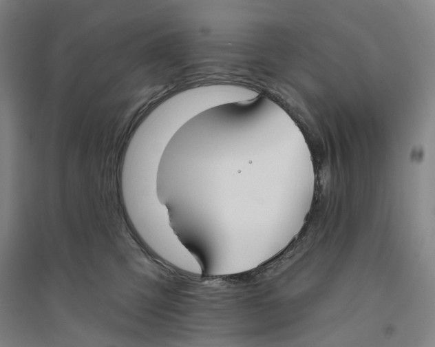 X0000094070423200711161551