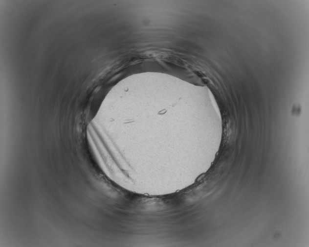 X0000094070424200711161551