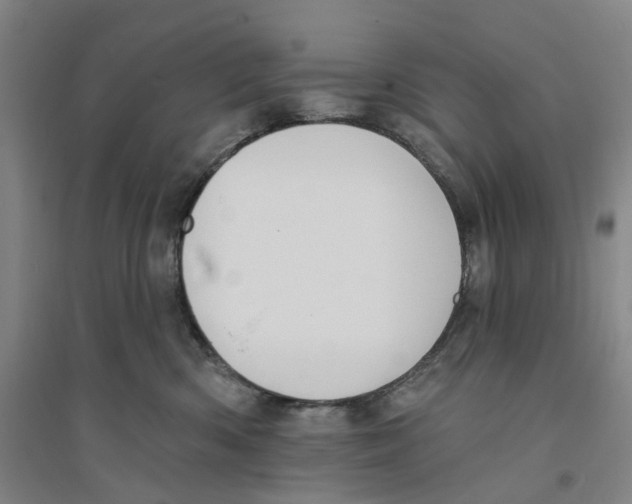 X0000094070426200711161551