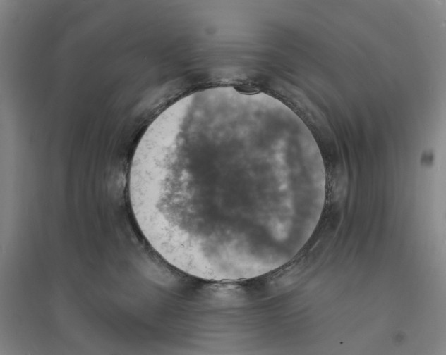 X0000094070427200711161551