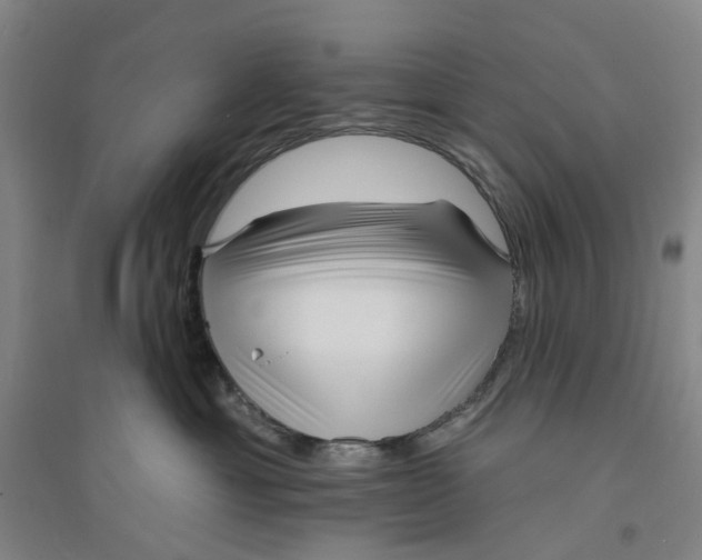 X0000094070429200711161551